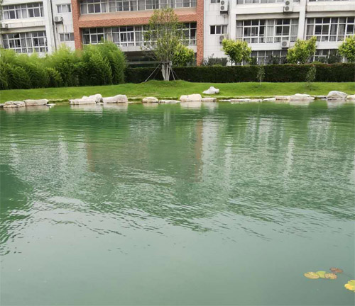 临沂大学心湖水质提升净化工程